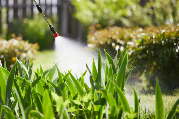 24/7 Emergency Mosquito Control experts in Montesano, WA